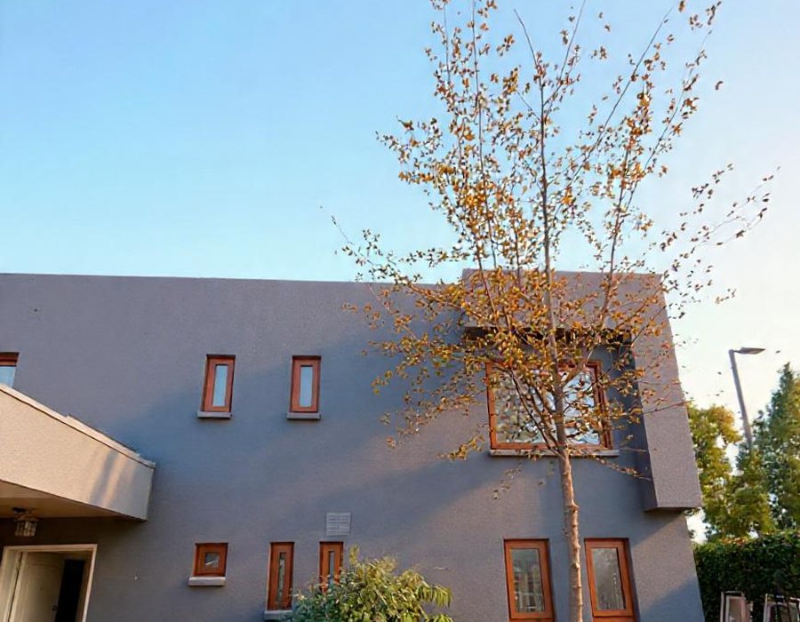 Vivienda residencial con ventanas de aluminio color madera